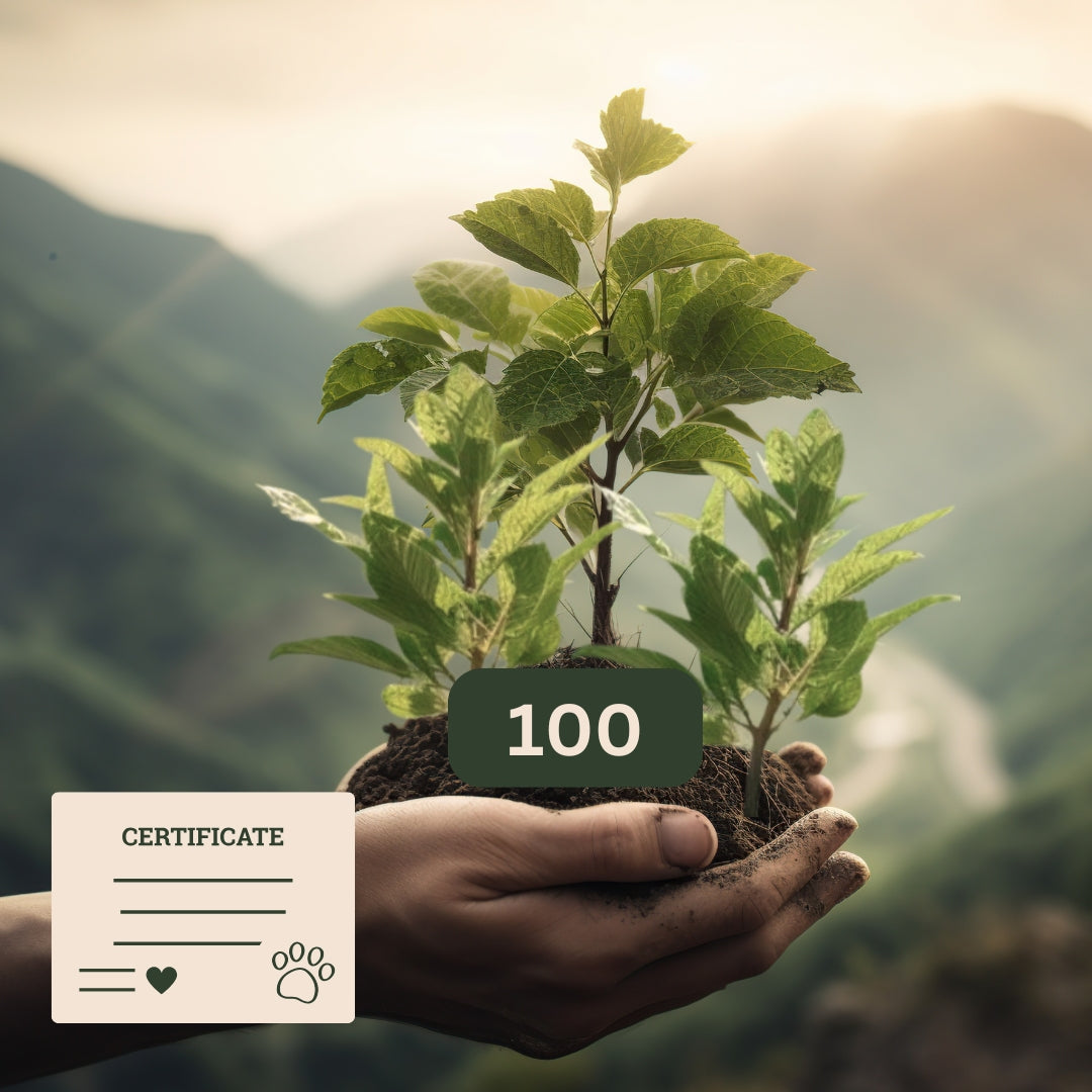Pet Memorial Tree Grove (100 Trees)