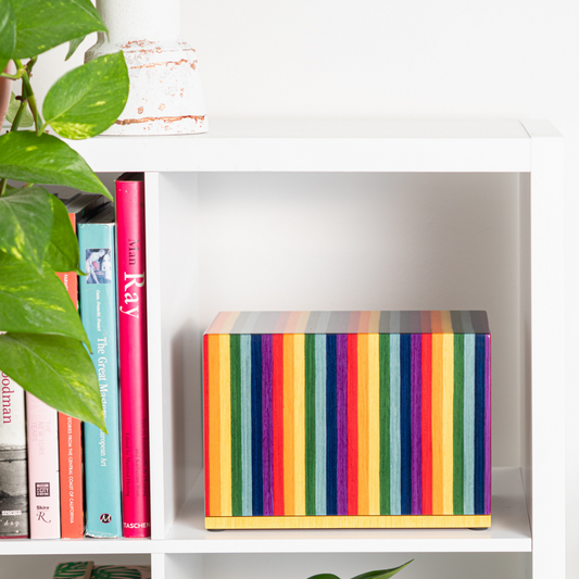 The Hudson Pet Urn in Vibrant Multicolor