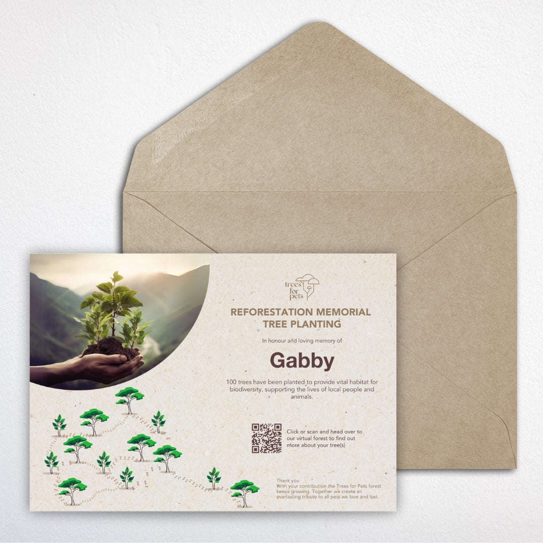 Pet Memorial Tree Grove (100 Trees)