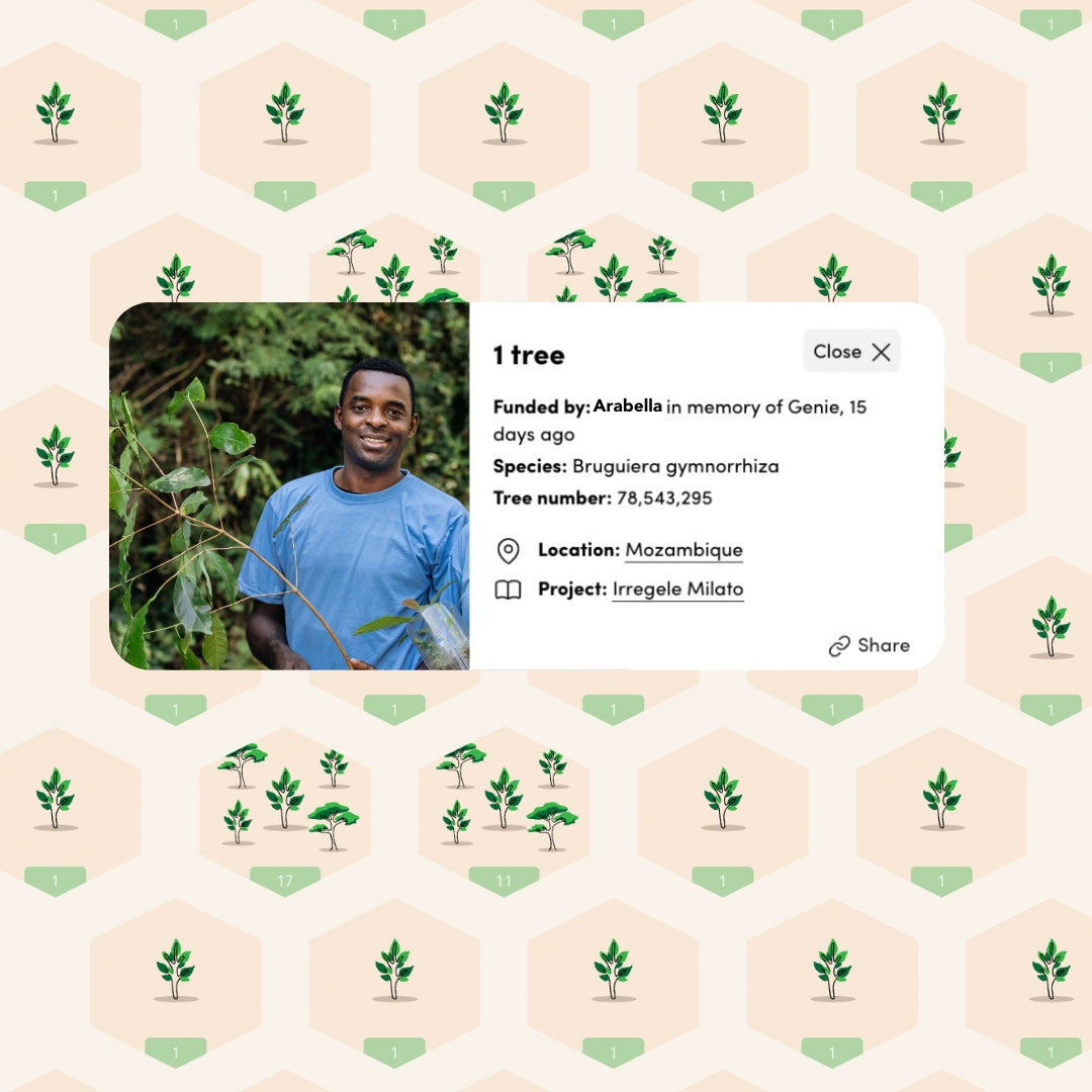 Pet Memorial Tree Planting
