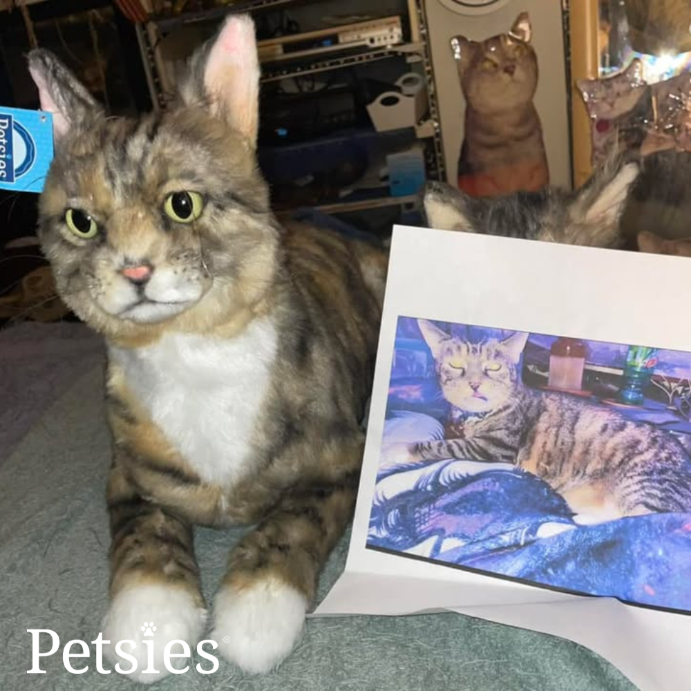 Petsies Forevers Comfort Stuffed Animal