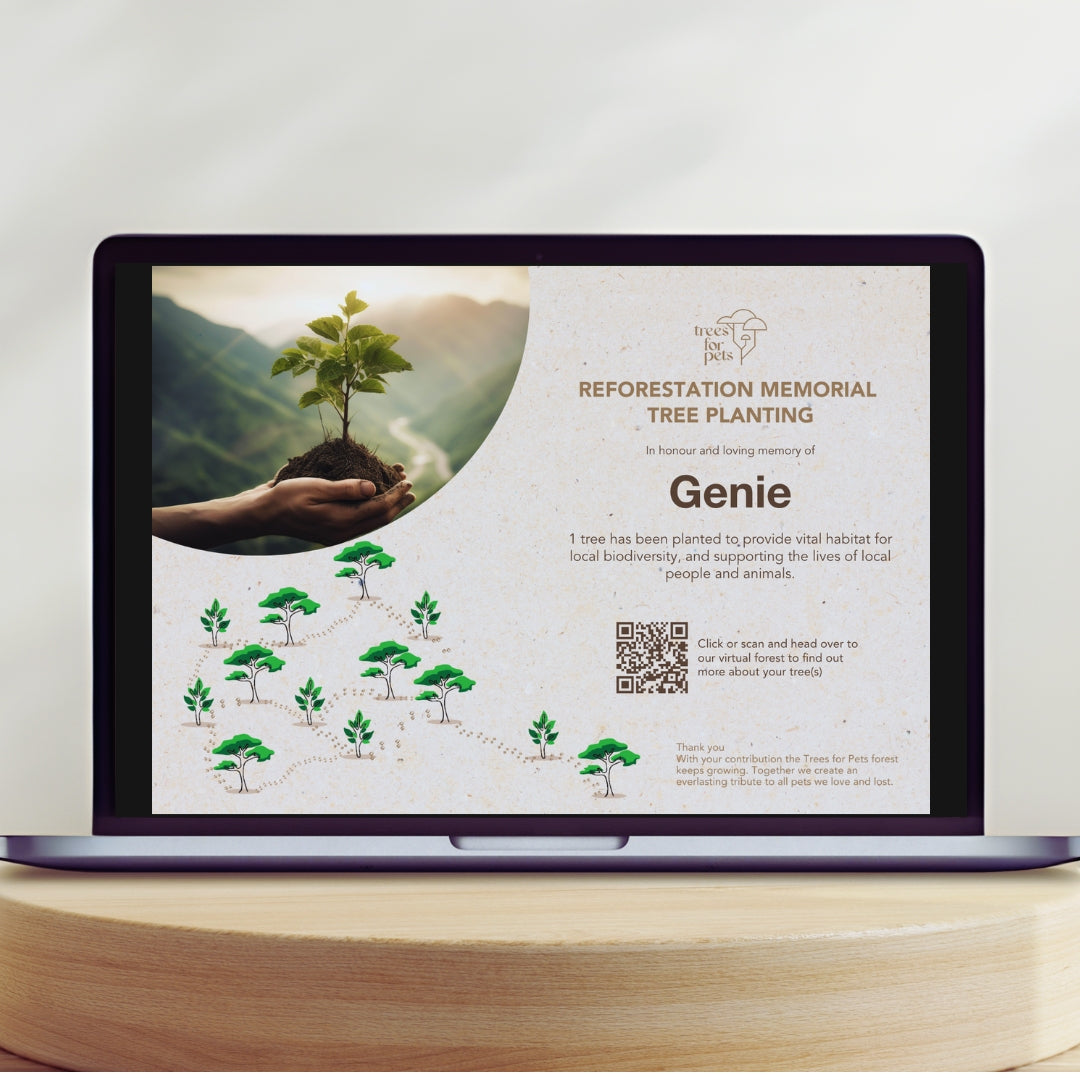 Pet Memorial Tree Planting