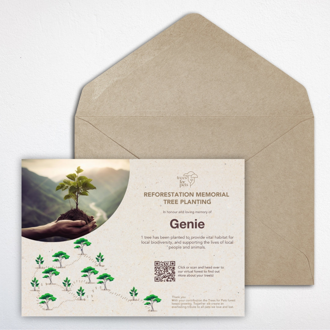 Pet Memorial Tree Planting