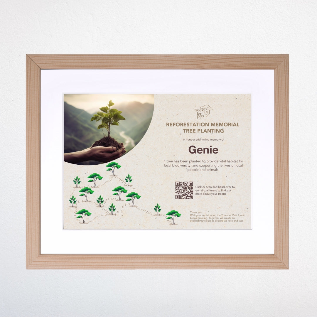 Pet Memorial Tree Planting