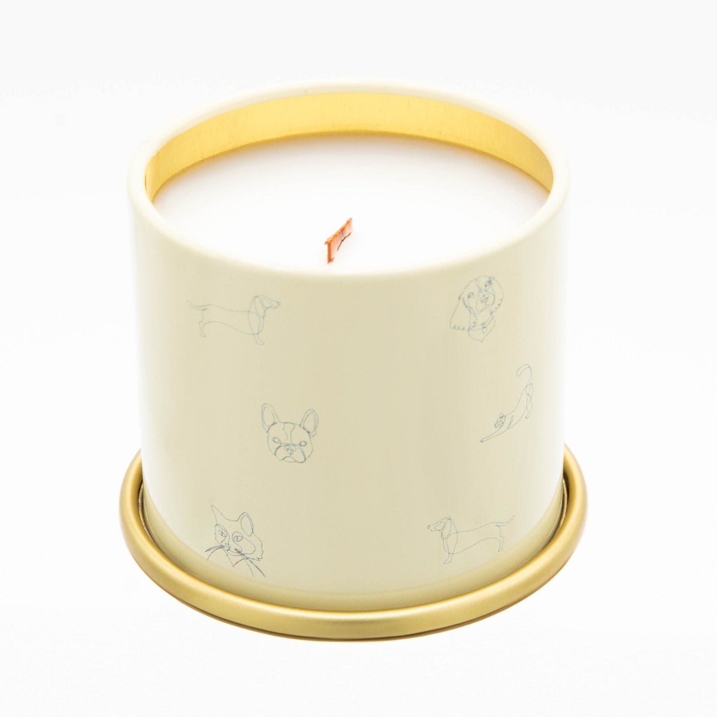 Anywhere With You Pet-Safe Candle