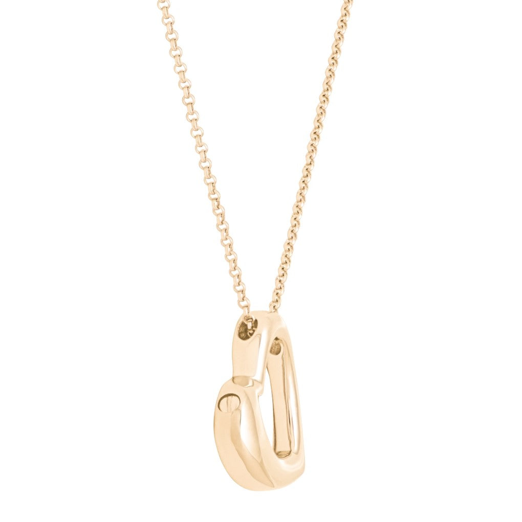 The Eternal Love Pet Cremation Necklace