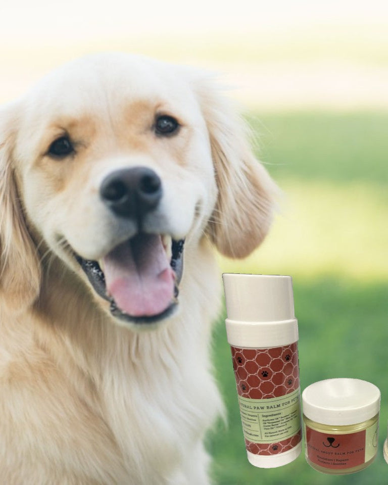 Pet Pampering Gift Box