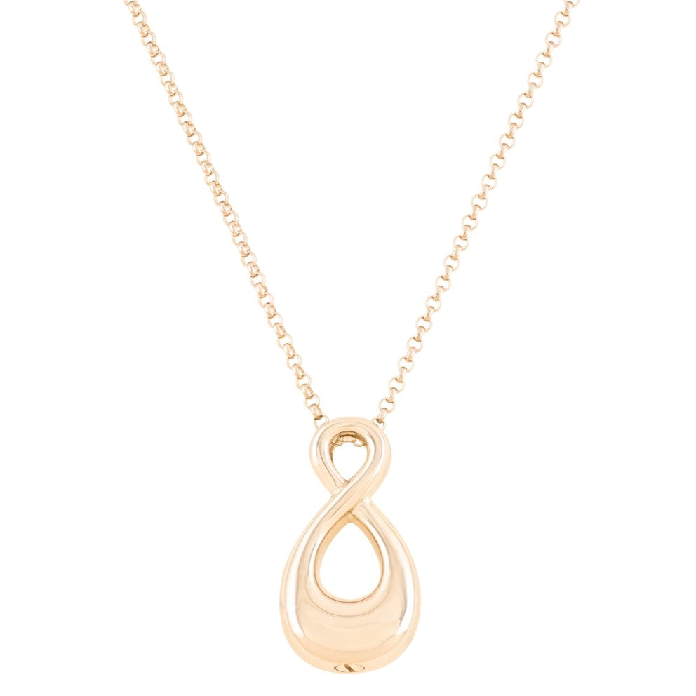 The Infinity Pet Cremation Necklace