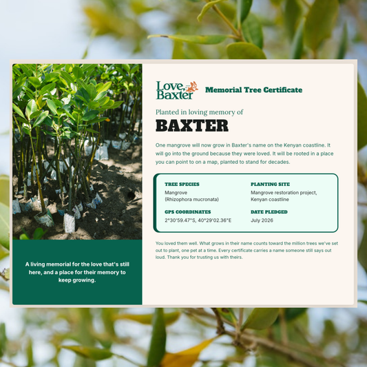 Pet Memorial Tree Planting