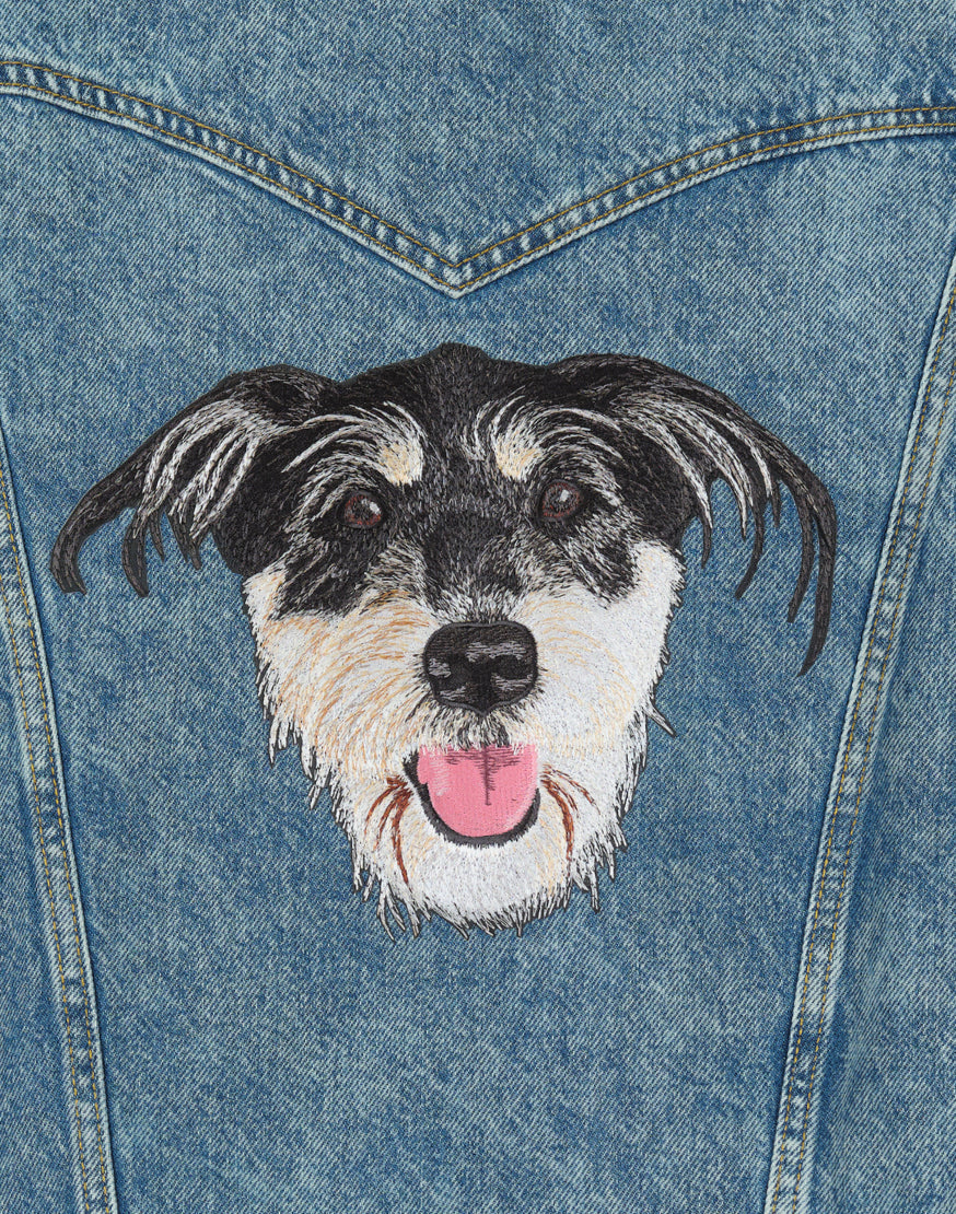 The Pet Oversized Denim Jacket