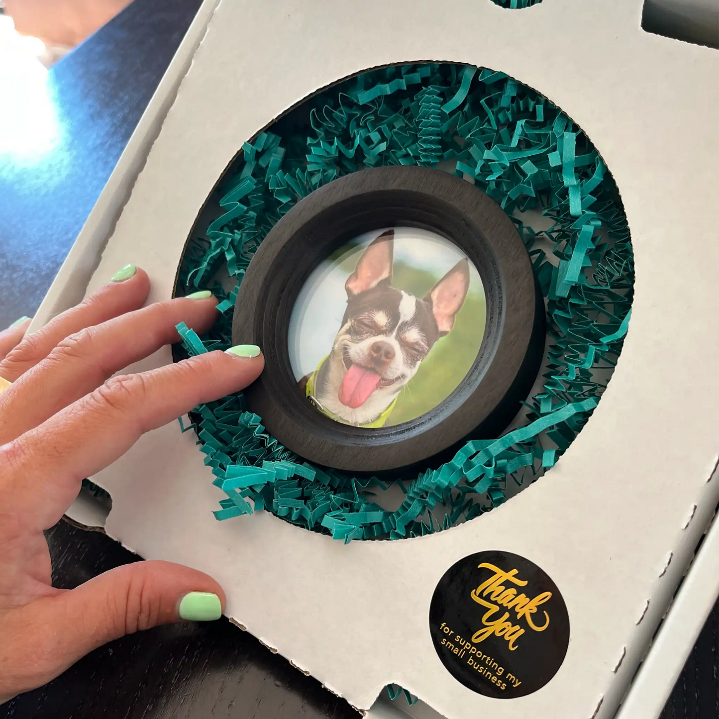 Small Dog Collar Picture Frame - "The Chihuahua"