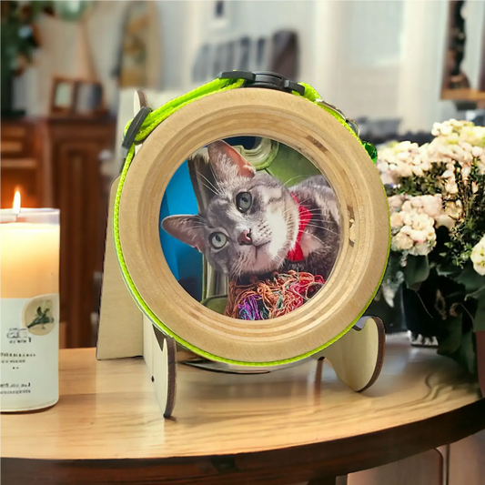 Cat Collar Picture Frame - "The Garfield"