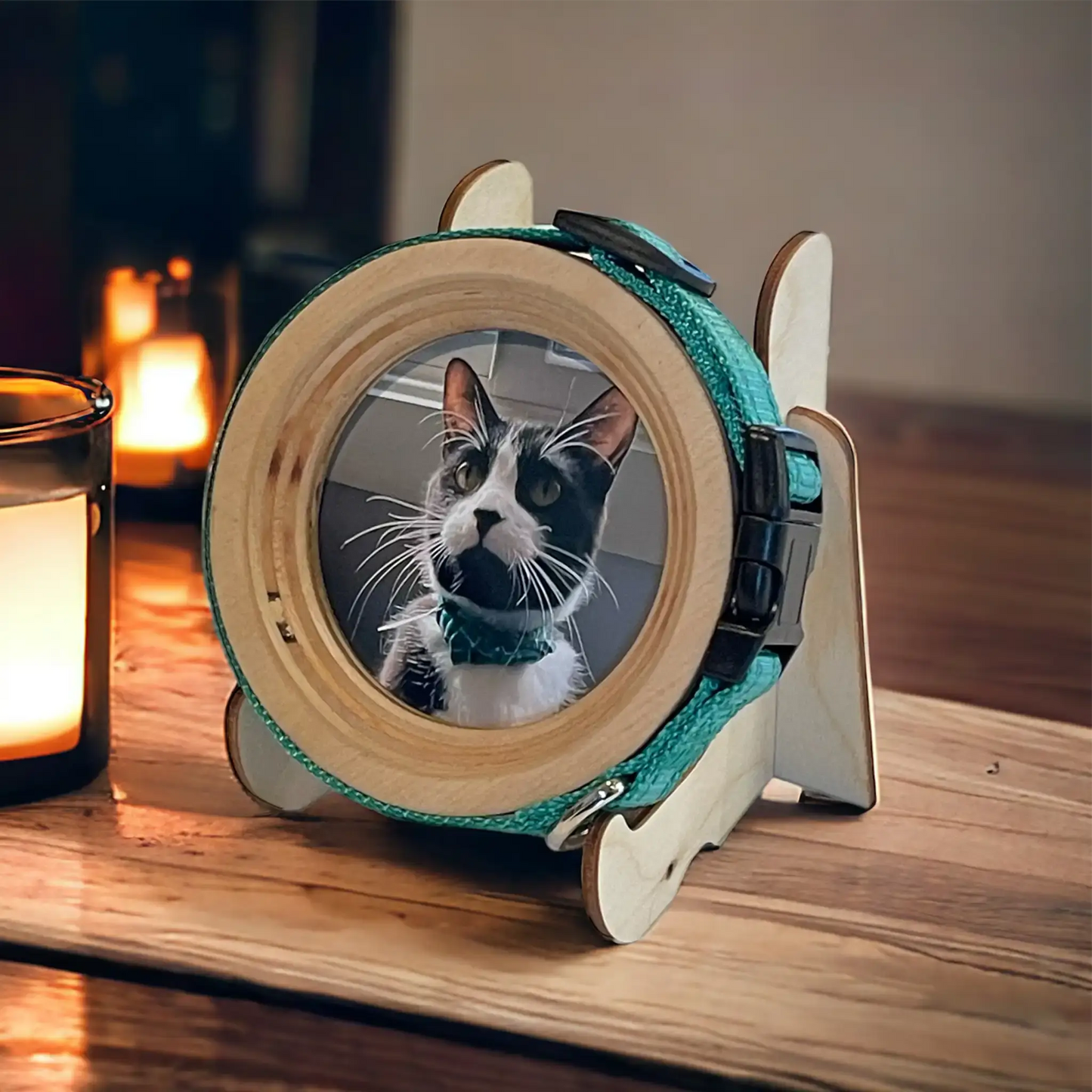 Cat Collar Picture Frame - "The Garfield"