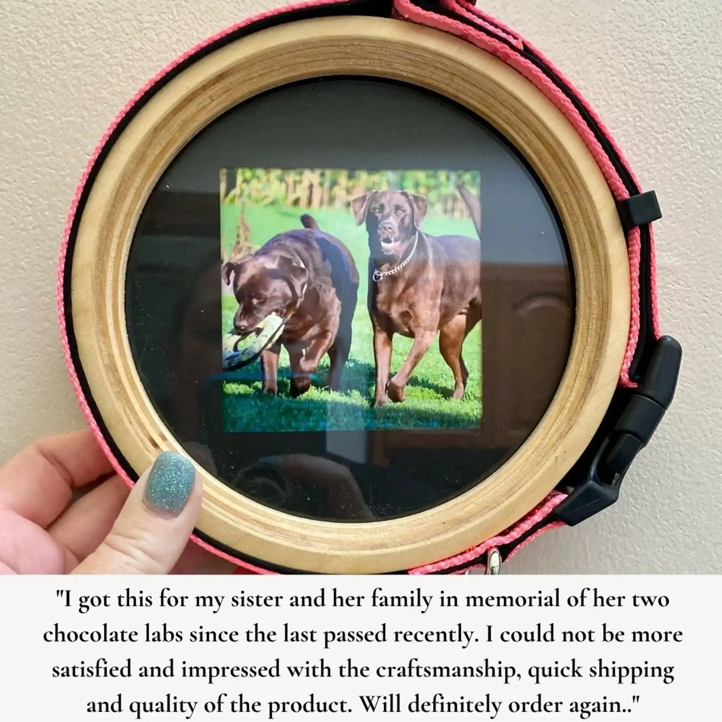 Extra Large Dog Collar Picture Frame - "The Great Dane"