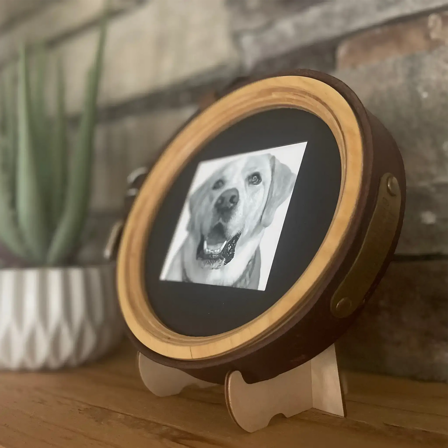 Extra Large Dog Collar Picture Frame - "The Great Dane"