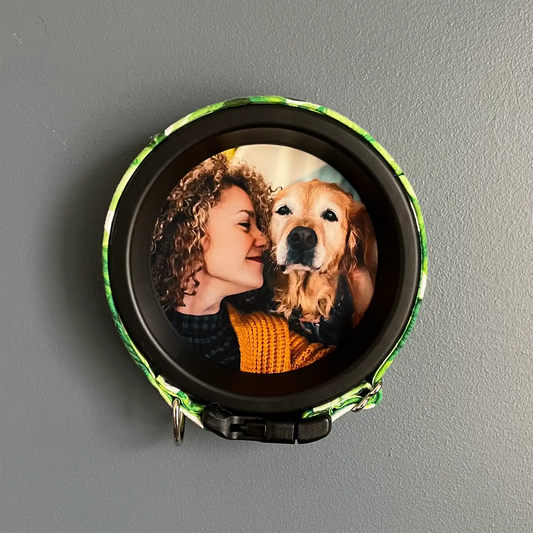 Large Dog Collar Picture Frame - "The Labrador"