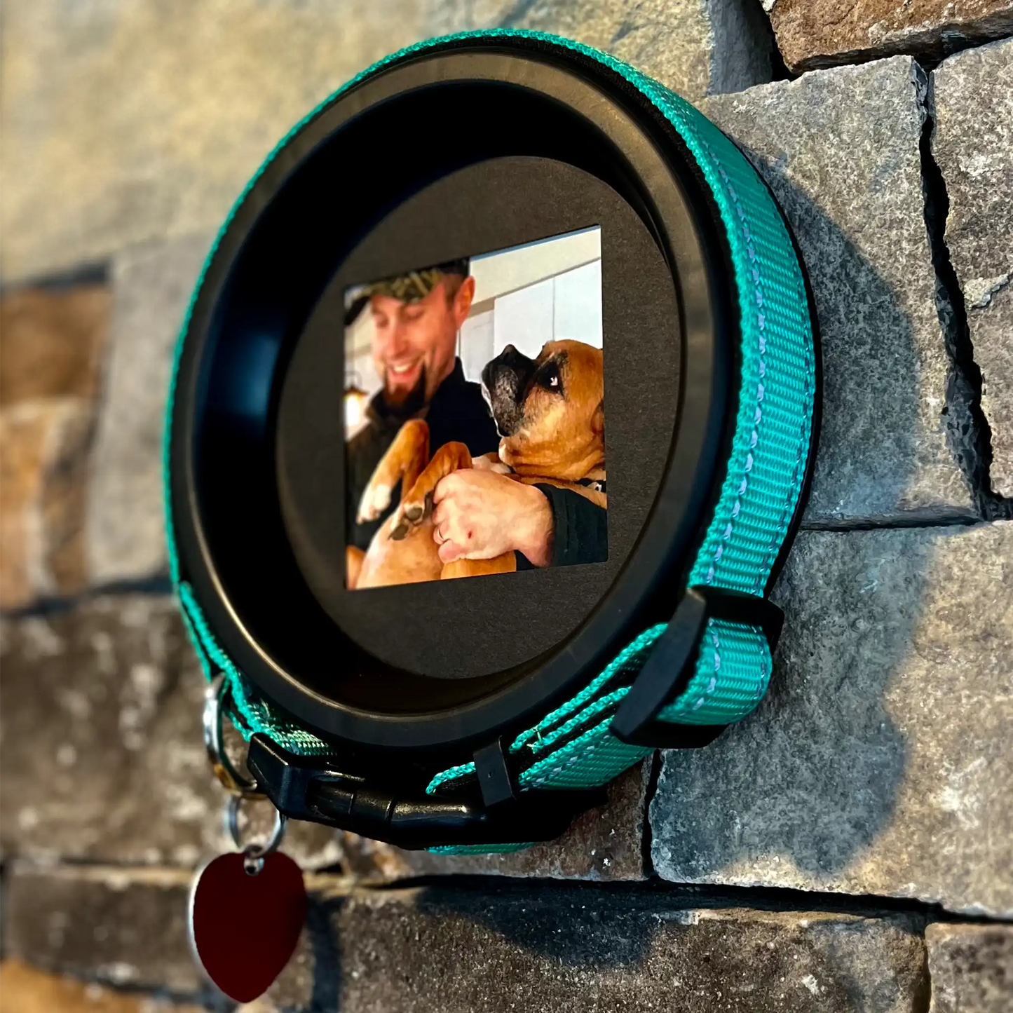 Medium Dog Collar Resin Picture Frame - "The Beagle"