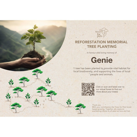 Pet Memorial Tree Planting - Love, Baxter