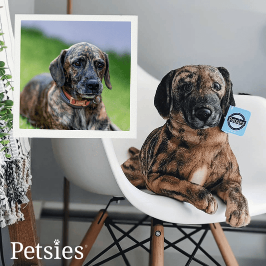 Petsies Forevers Original Stuffed Animal - Love, Baxter