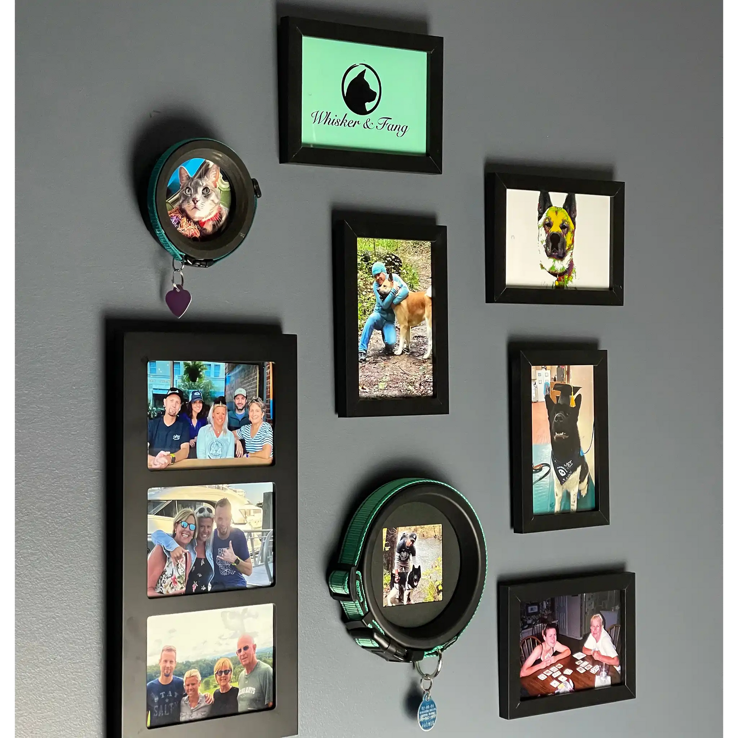 Medium Dog Collar Resin Picture Frame - "The Beagle"