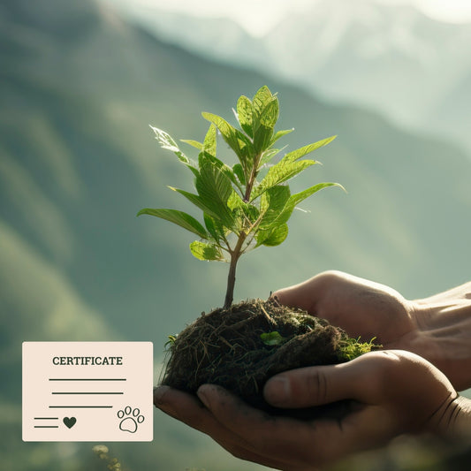 Pet Memorial Tree Planting