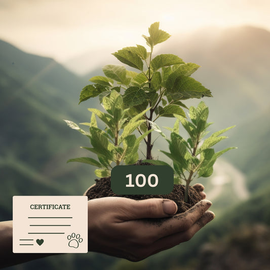 Pet Memorial Tree Grove (100 Trees)