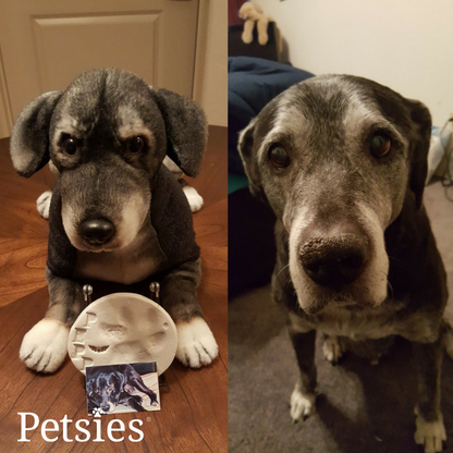 Memorial Petsies Forevers Stuffed Animal