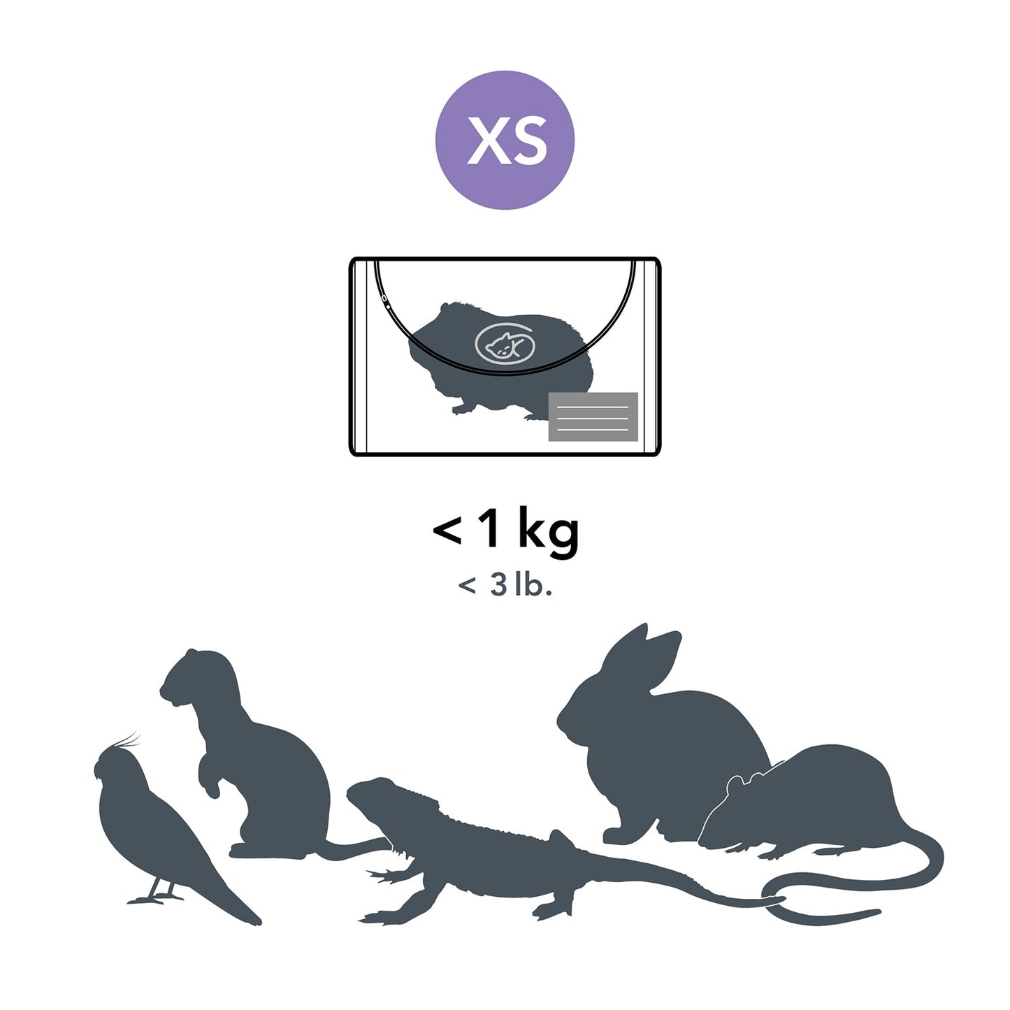 Beautiful Goodbye Pet Burial Kit - XS