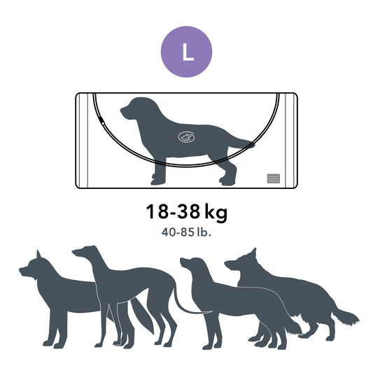 Beautiful Goodbye Pet Burial Kit - Large