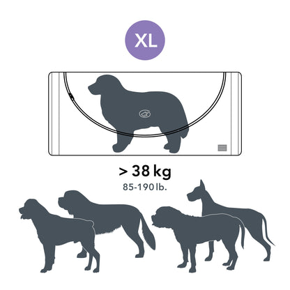 Beautiful Goodbye Pet Burial Kit - XL