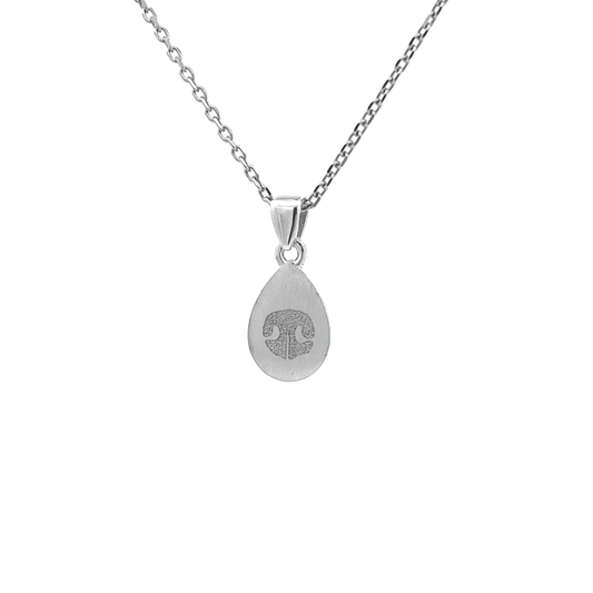 Customizable Classic Pet Teardrop Pendant