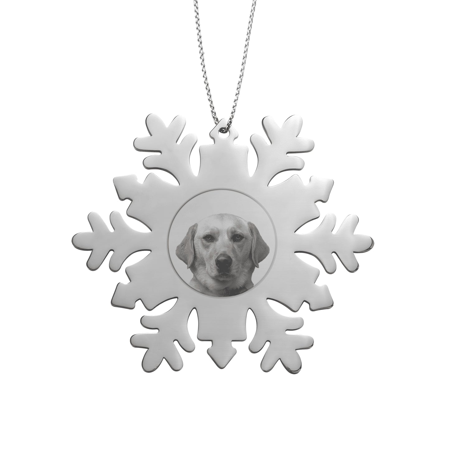 Customizable Pet Snowflake Ornament