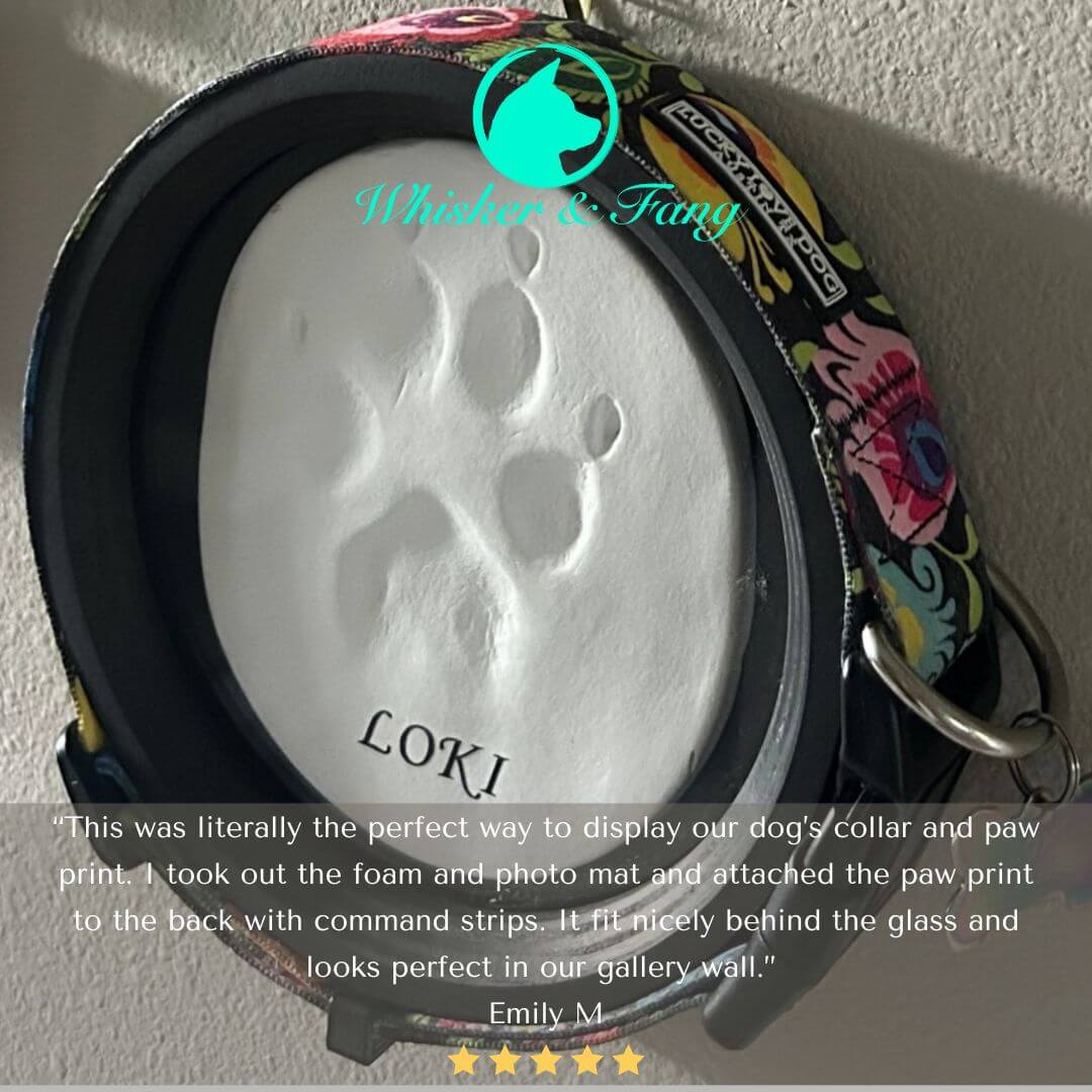Paw Print & Collar Pet Memorial Frame Kit
