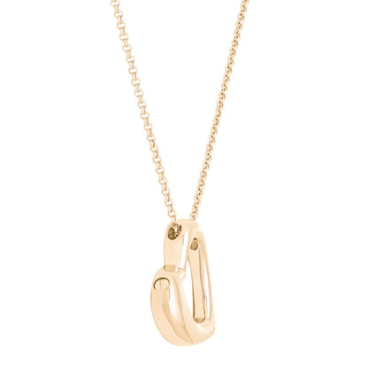 The Eternal Love Pet Cremation Necklace