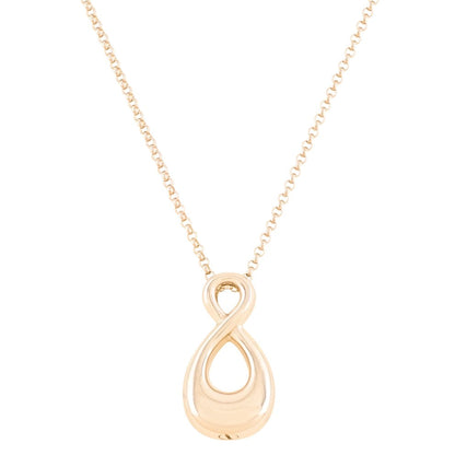 The Infinity Pet Cremation Necklace