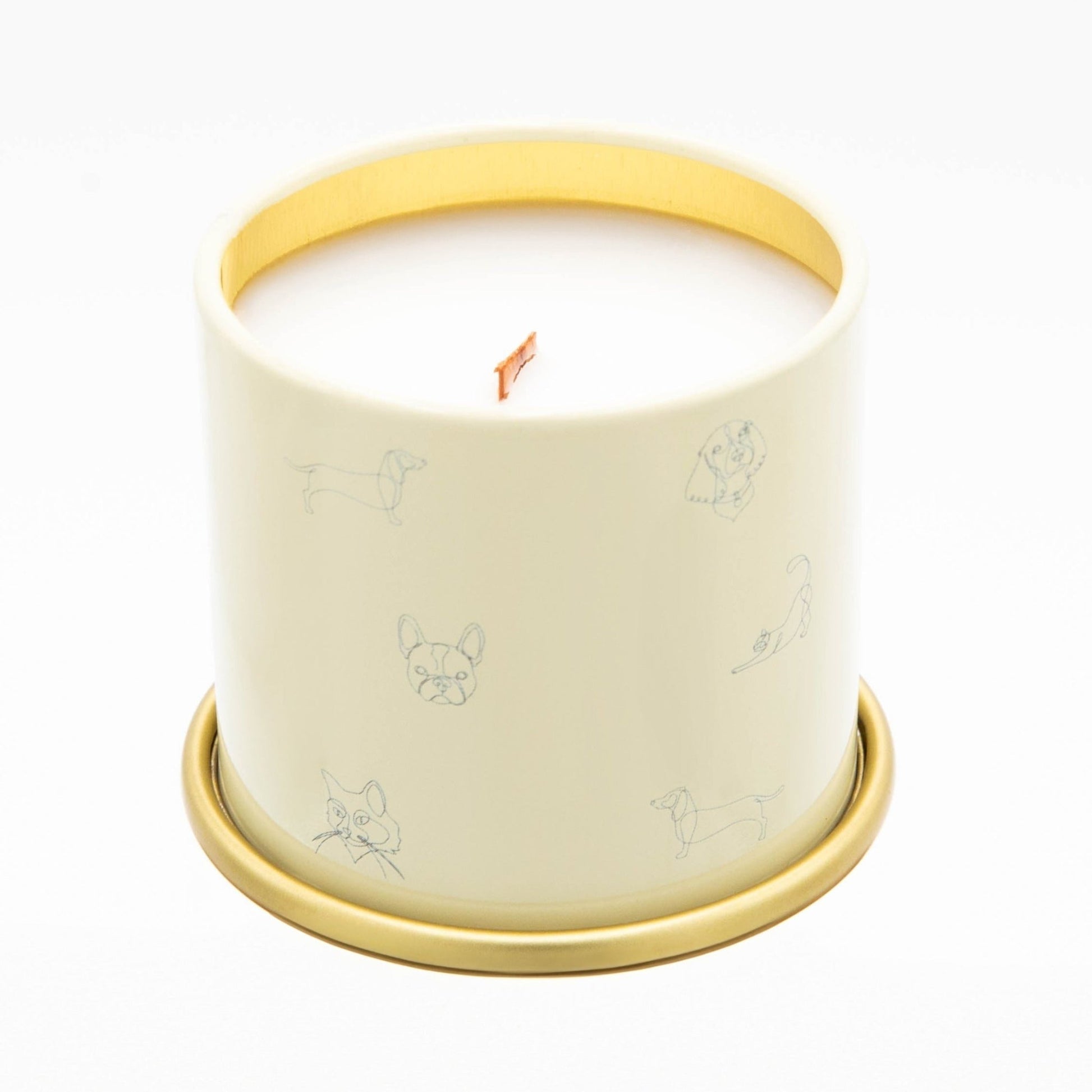 Anywhere With You Pet - Safe Candle - Love, Baxter