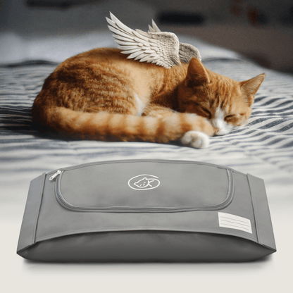 Beautiful Goodbye Pet Body Care Kit - XS - Love, Baxter