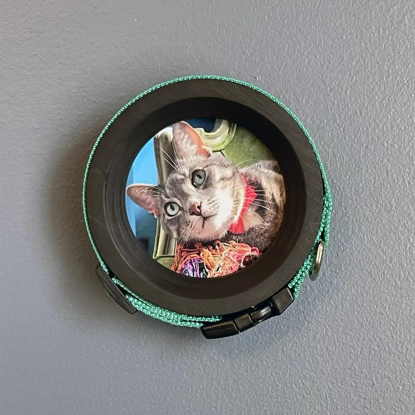 Cat Collar Picture Frame - "The Garfield"
