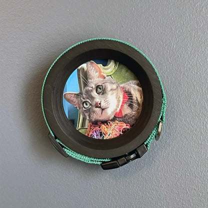 Cat Collar Picture Frame - "The Garfield"