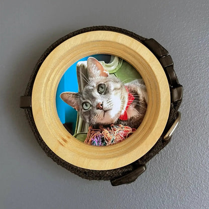 Cat Collar Picture Frame - "The Garfield" - Love, Baxter
