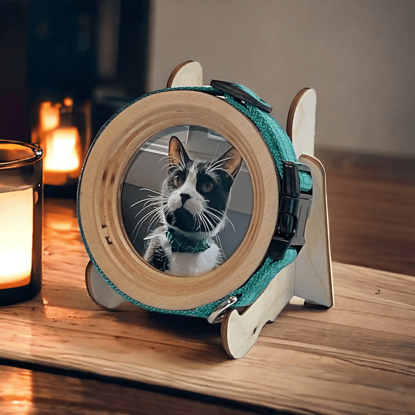 Cat Collar Picture Frame - "The Garfield" - Love, Baxter