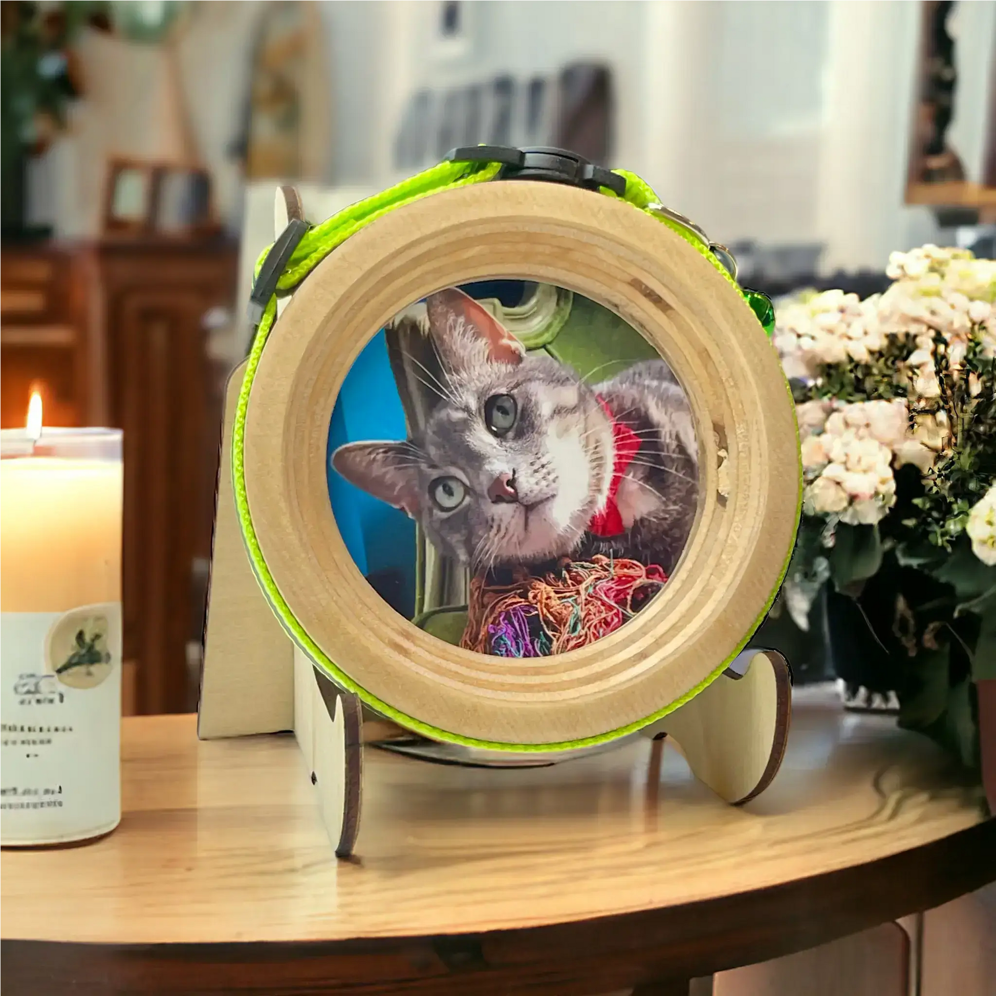 Cat Collar Picture Frame - "The Garfield" - Love, Baxter