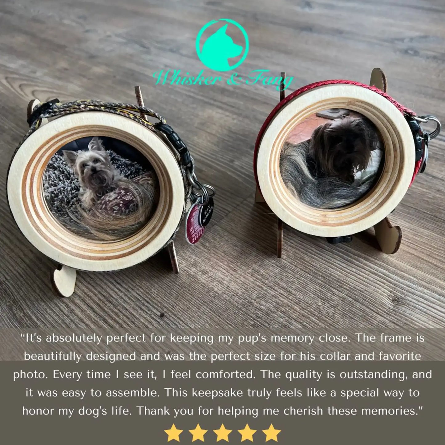 Small Dog Collar Picture Frame - "The Chihuahua"