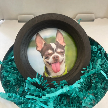 Small Dog Collar Picture Frame - "The Chihuahua"