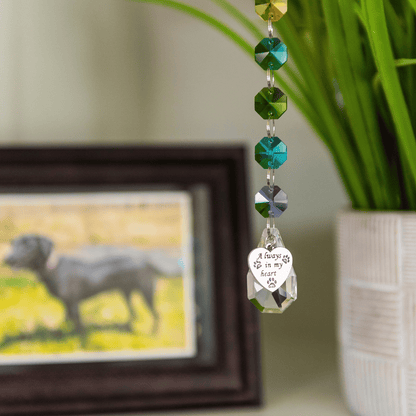Crystal Rainbow Pet Memorial Suncatcher - Dogs & Cats - Love, Baxter