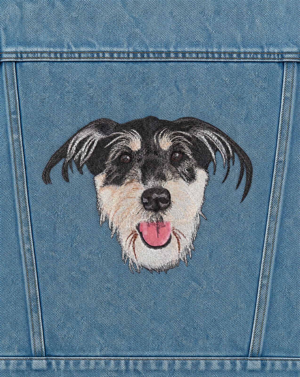 The Pet Oversized Denim Jacket
