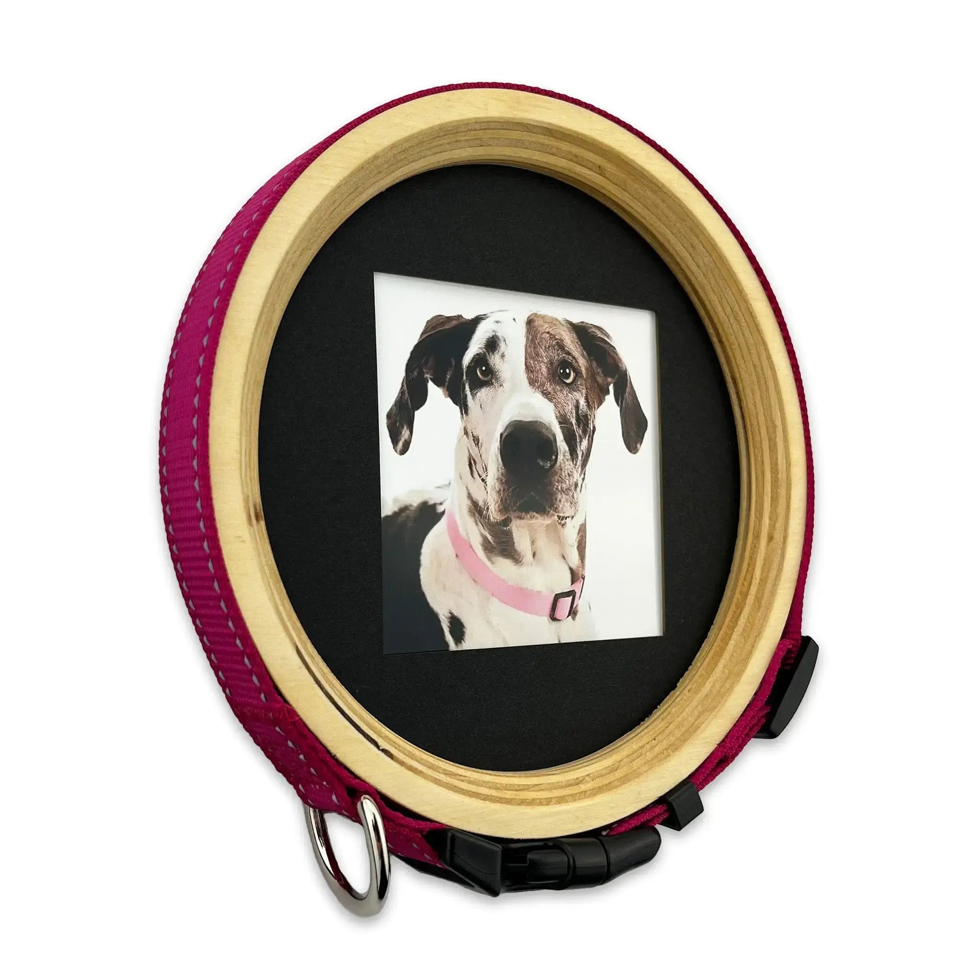 Extra Large Dog Collar Picture Frame - "The Great Dane" - Love, Baxter