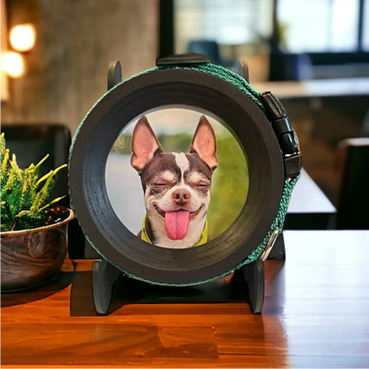 Extra Wide Dog Collar Picture Frame - Love, Baxter