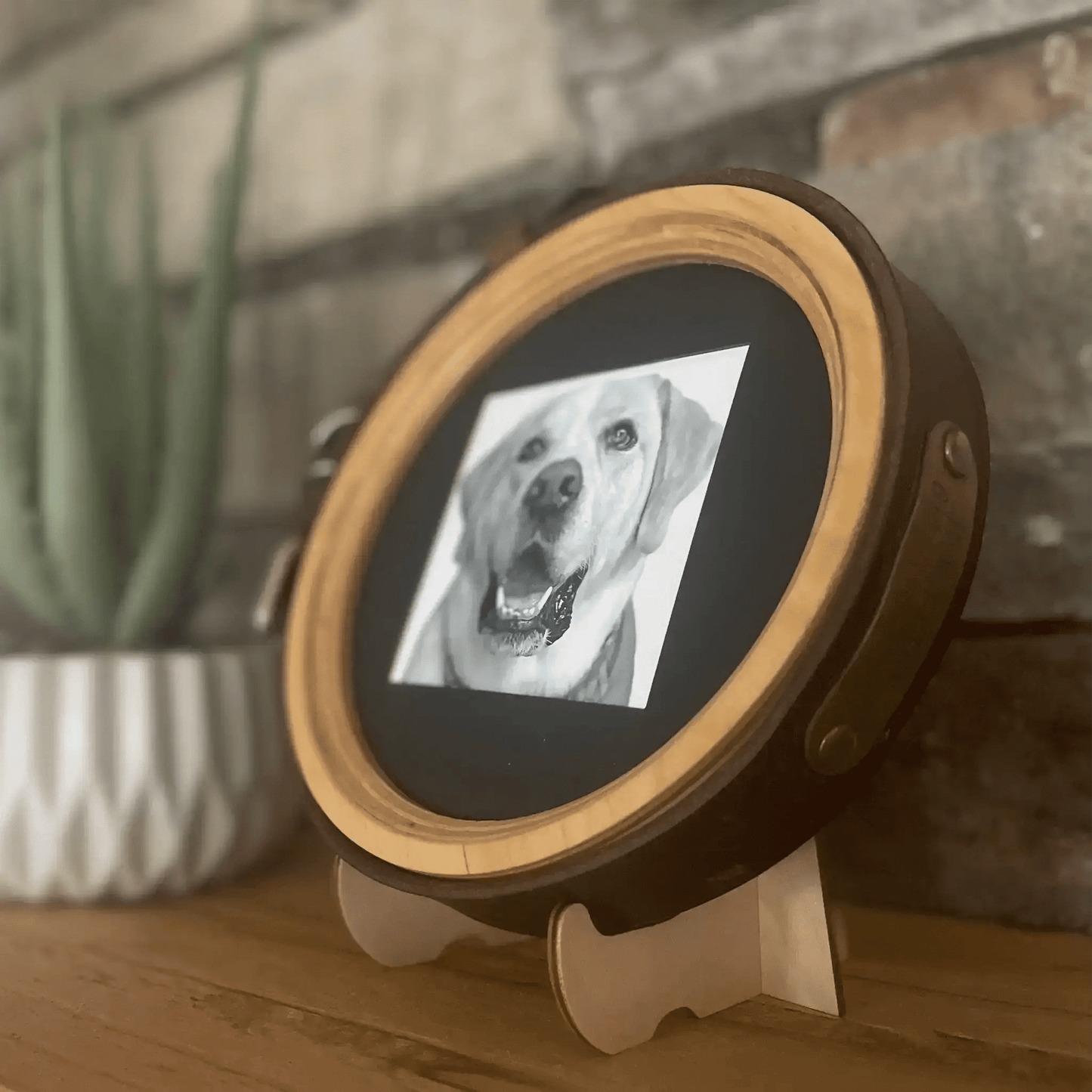 Extra Wide Dog Collar Picture Frame - Love, Baxter