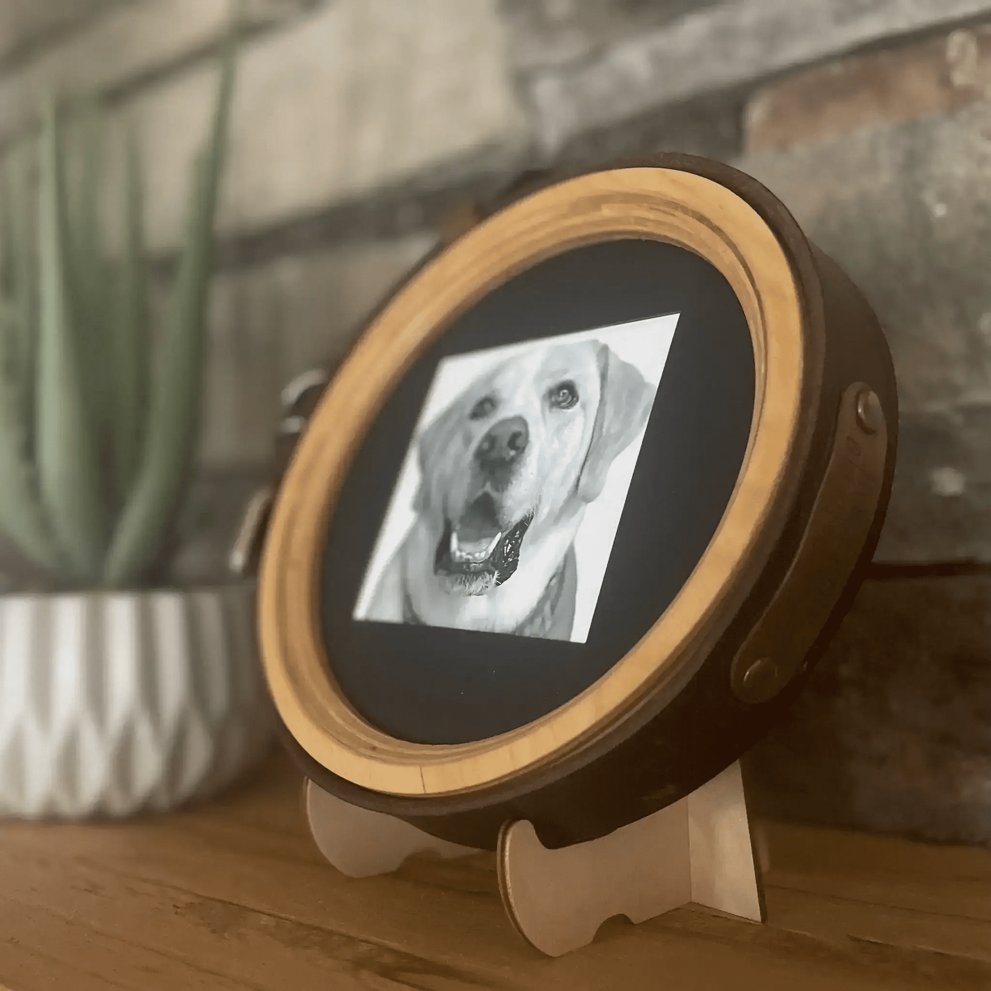 Extra Wide Dog Collar Picture Frame - Love, Baxter